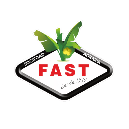 partner_platanos_fast-removebg-preview